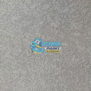 nawapaint 1026 (42) nawapaint 1026 (42)